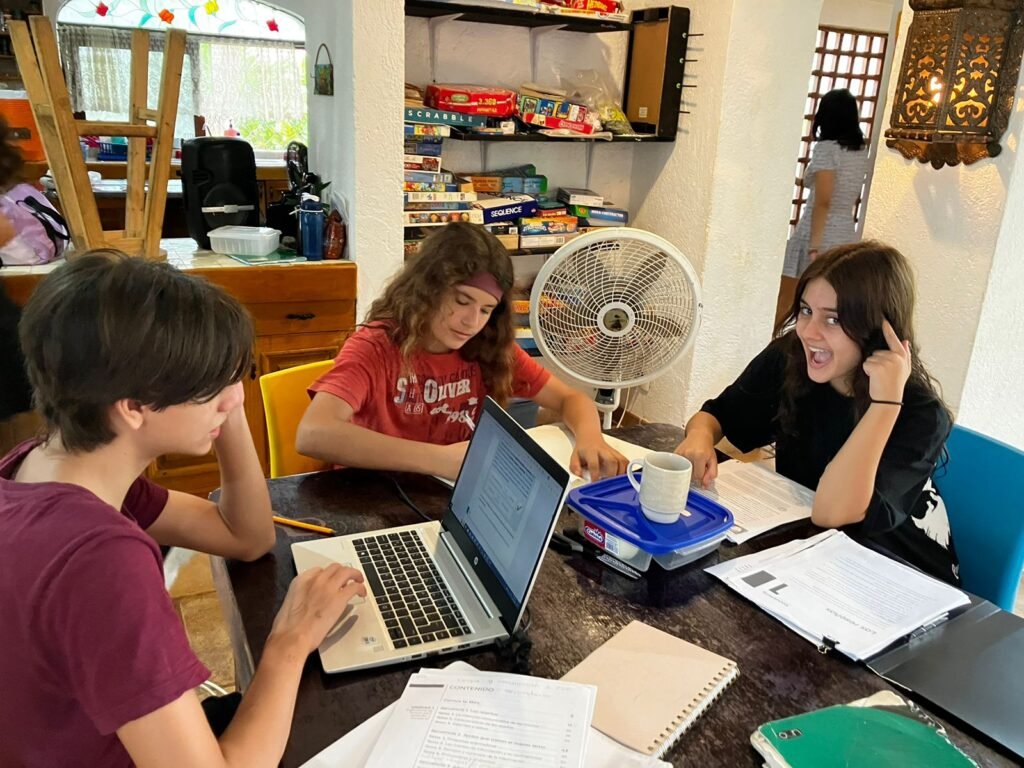 resultados de crecer verde